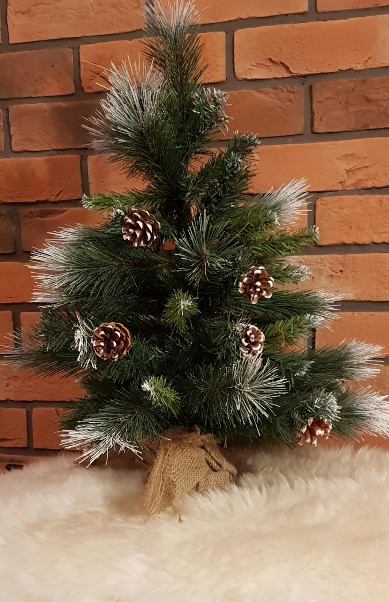 Apartamenty Bachledzki Wierch, Zakopane Buitenkant foto